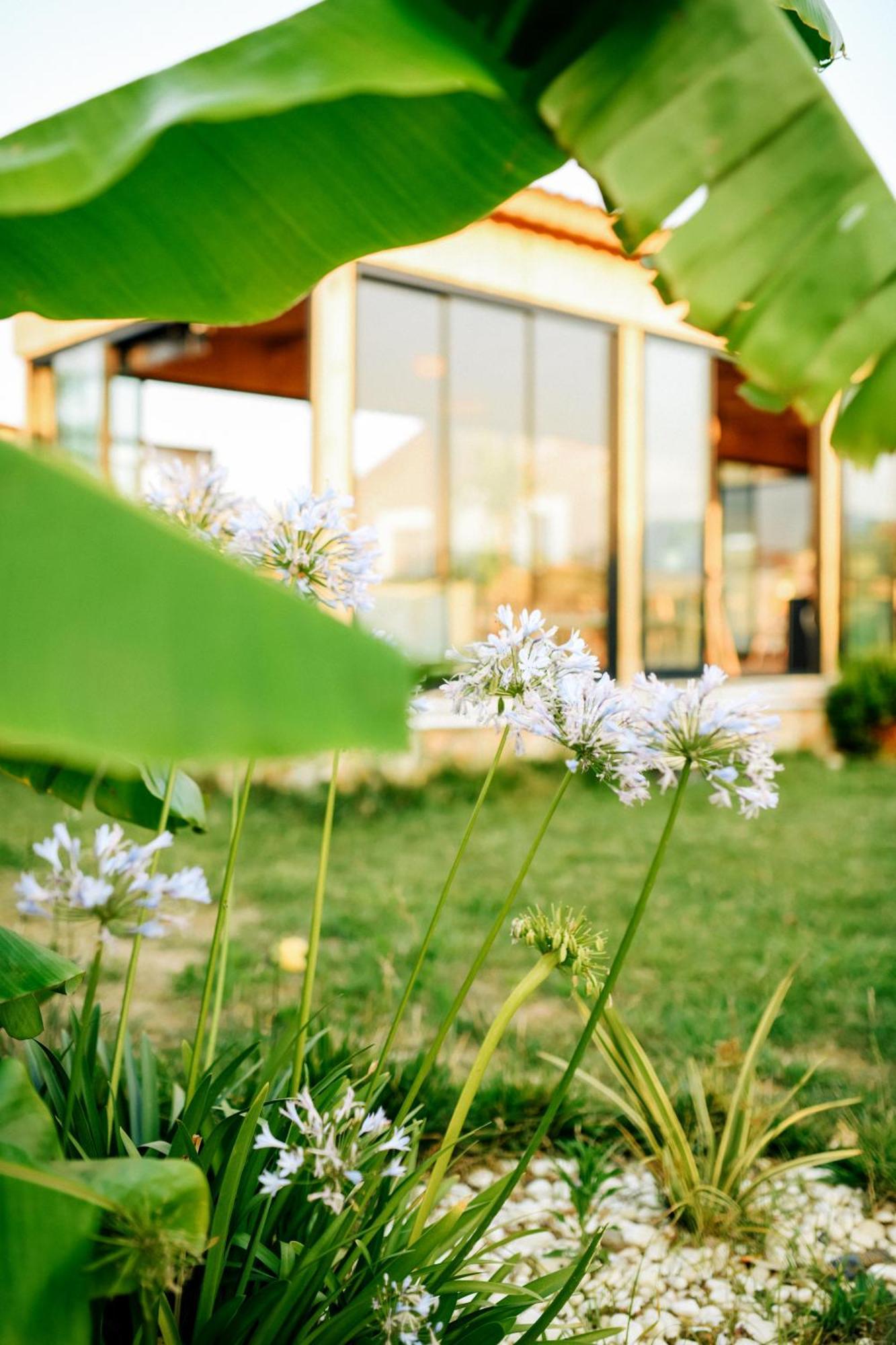 Hotel Mandalin Glamping Selçuk Esterno foto